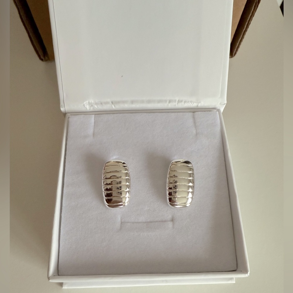 Elegant Silver Earrings